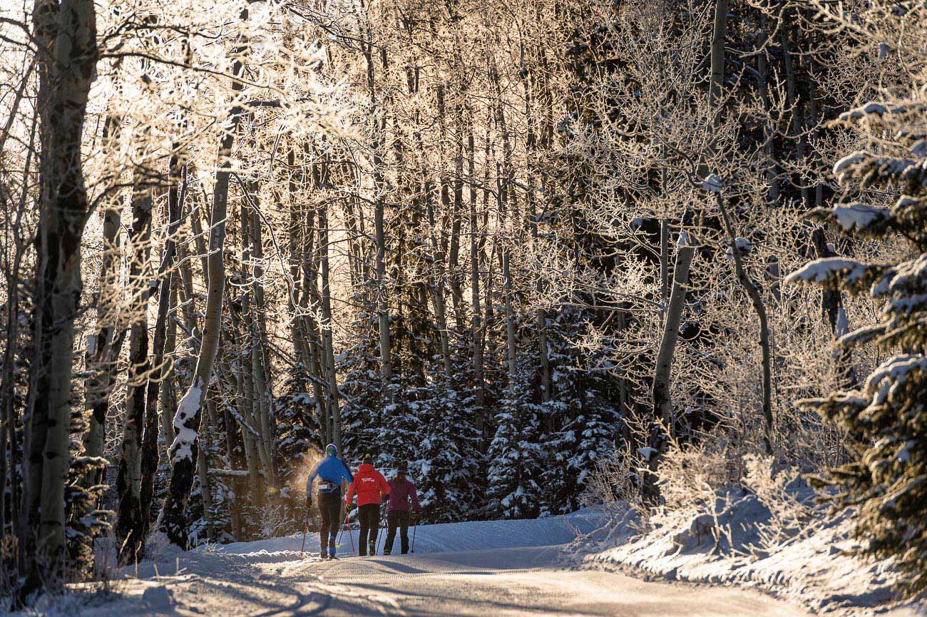 Group of three nordic skiers on wooded trail
