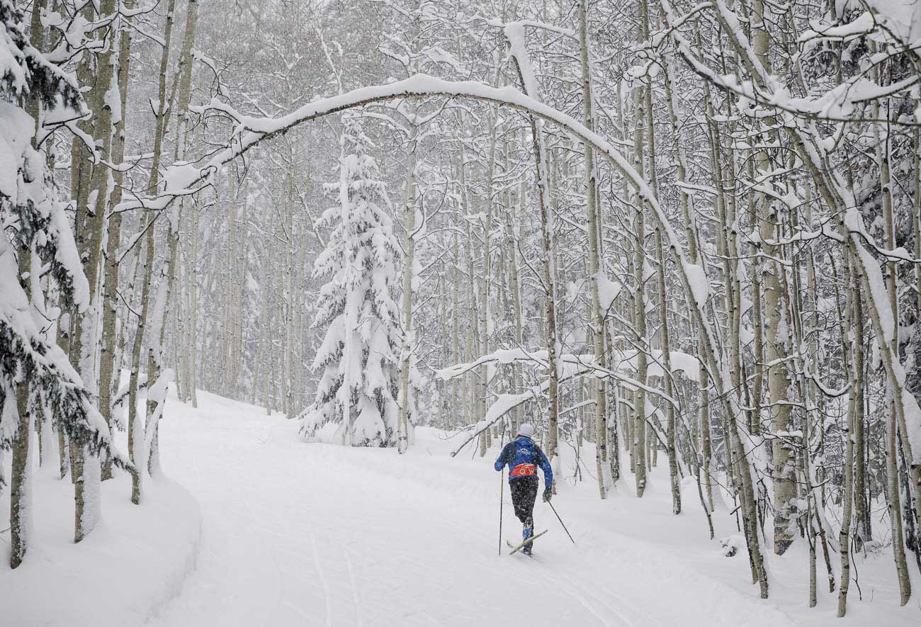 Nordic skier on wooded ski trails