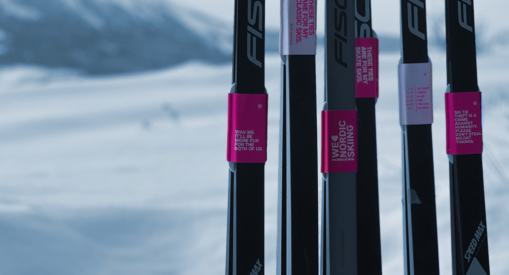 NORDJÖRK ski ties on several pairs of skis